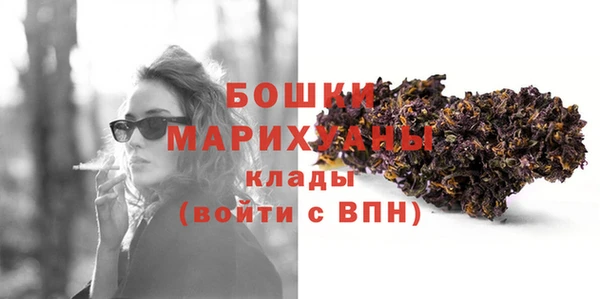 спайс Богданович