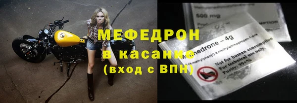 спайс Богданович