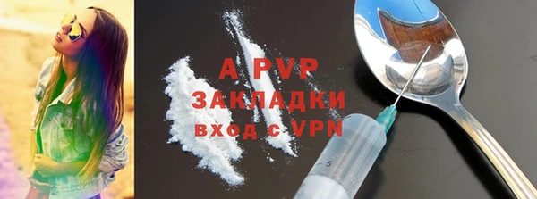 спайс Богданович