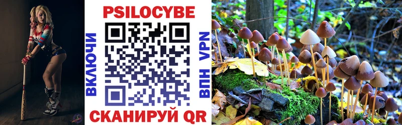 Псилоцибиновые грибы Psilocybe дарнет шоп Дигора