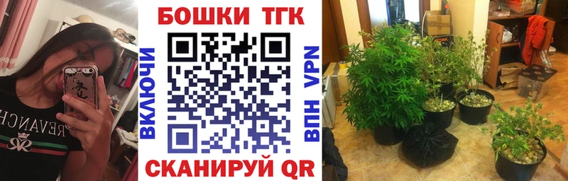 Марихуана план  Дигора 